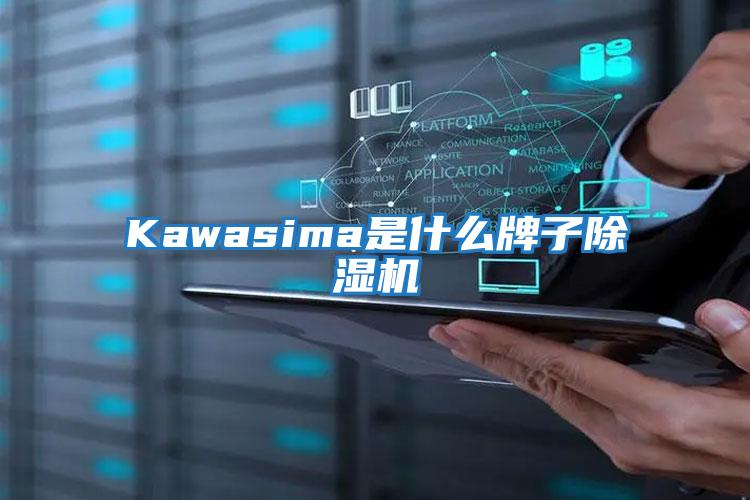 Kawasima是什么牌子除湿机