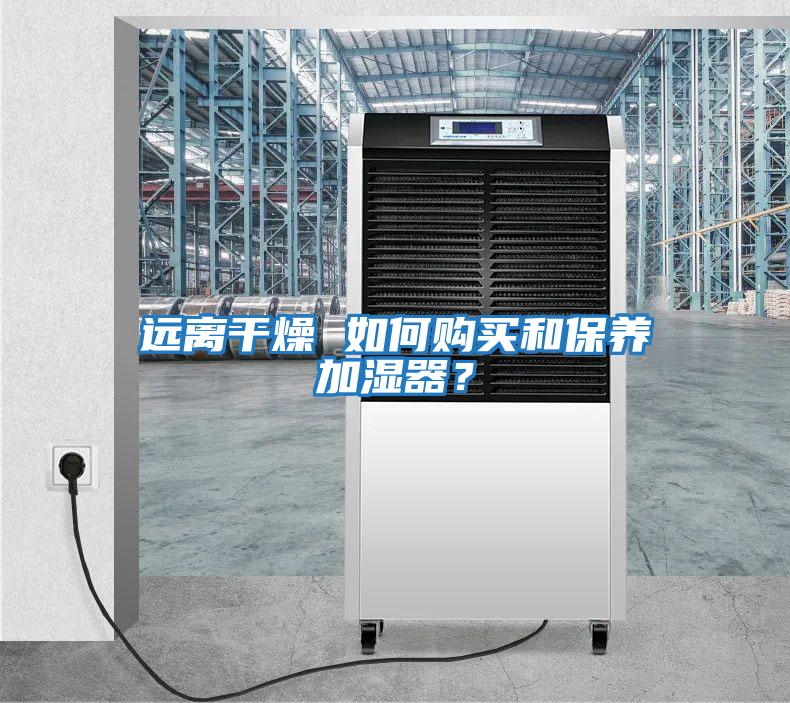 远离干燥 如何购买和保养加湿器？