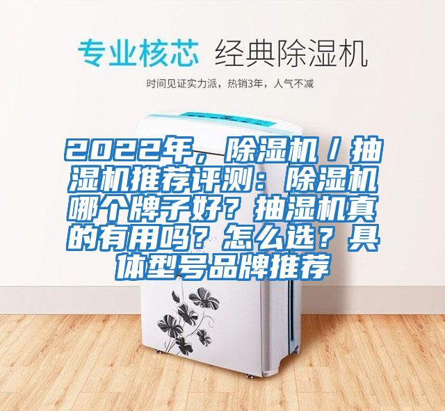 2022年，除湿机／抽湿机推荐评测：除湿机哪个牌子好？抽湿机真的有用吗？怎么选？具体型号品牌推荐