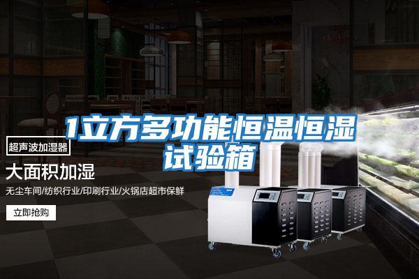 1立方多功能恒温恒湿试验箱