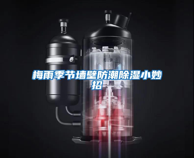 梅雨季节墙壁防潮除湿小妙招