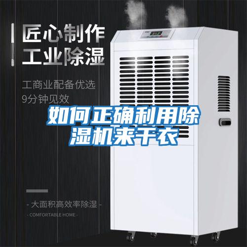 如何正确利用除湿机来干衣