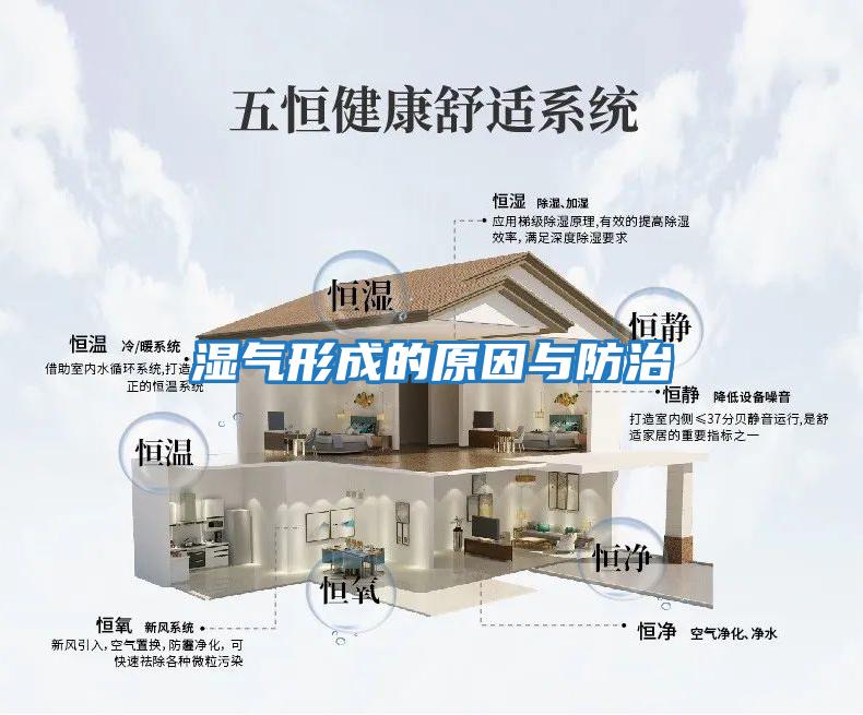 湿气形成的原因与防治
