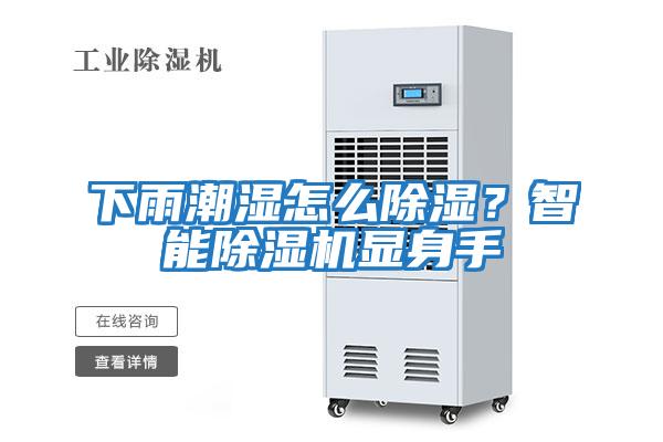 下雨潮湿怎么除湿？智能除湿机显身手