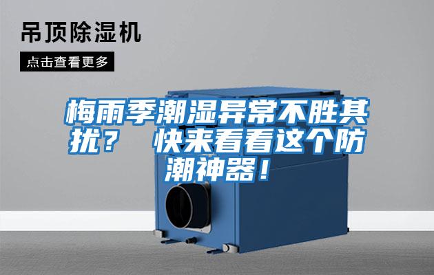 梅雨季潮湿异常不胜其扰？ 快来看看这个防潮神器！