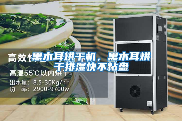 黑木耳烘干机，黑木耳烘干排湿快不粘盘
