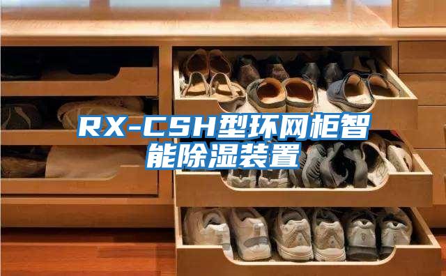 RX-CSH型环网柜智能除湿装置