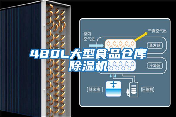 480L大型食品仓库除湿机