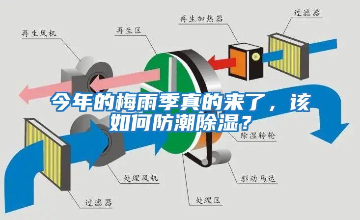 今年的梅雨季真的来了，该如何防潮除湿？