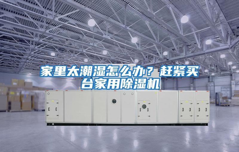 家里太潮湿怎么办？赶紧买台家用除湿机