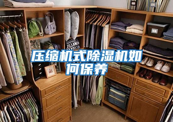 压缩机式除湿机如何保养