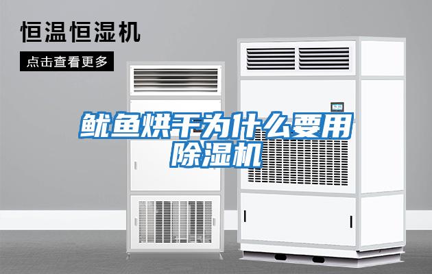 鱿鱼烘干为什么要用除湿机