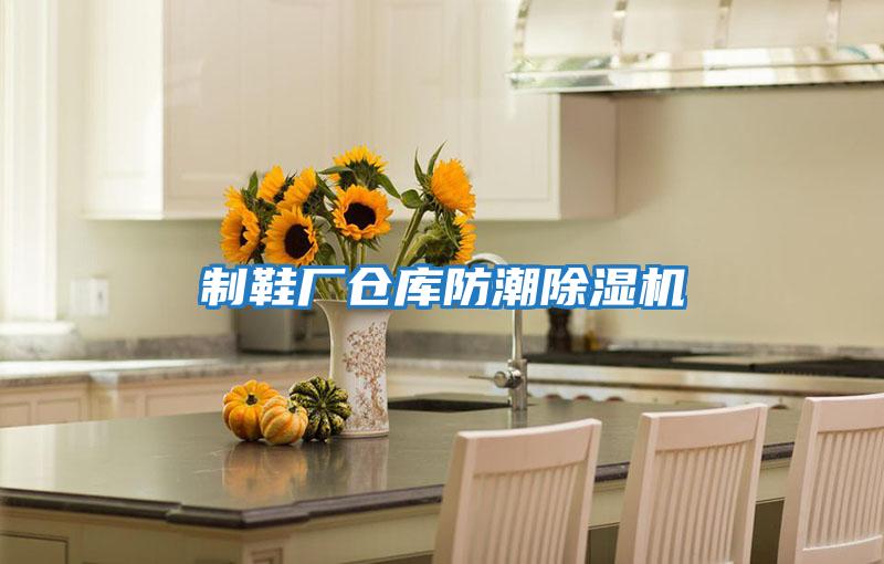 制鞋厂仓库防潮除湿机