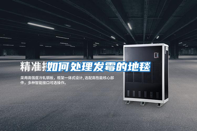 如何处理发霉的地毯