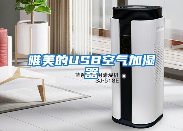 唯美的USB空气加湿器