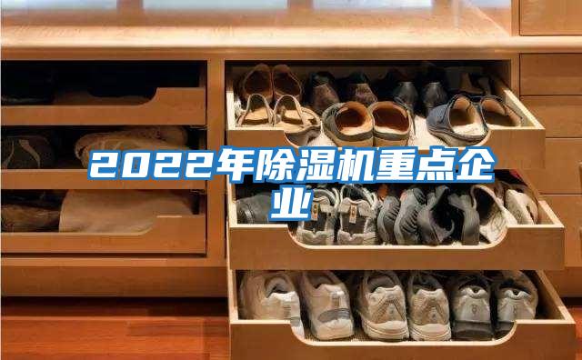 2022年除湿机重点企业