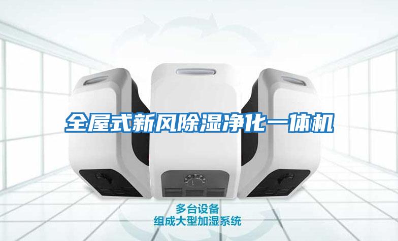 全屋式新风除湿净化一体机