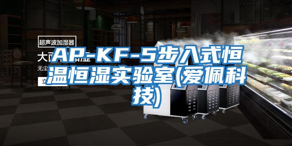 AP-KF-5步入式恒温恒湿实验室(爱佩科技)