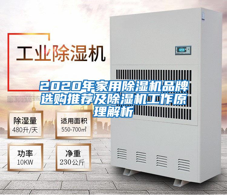 2020年家用除湿机品牌选购推荐及除湿机工作原理解析