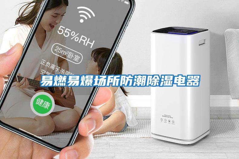 易燃易爆场所防潮除湿电器