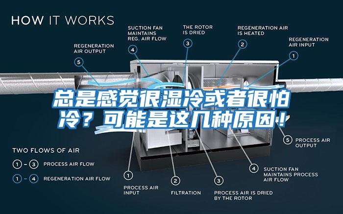 总是感觉很湿冷或者很怕冷？可能是这几种原因！