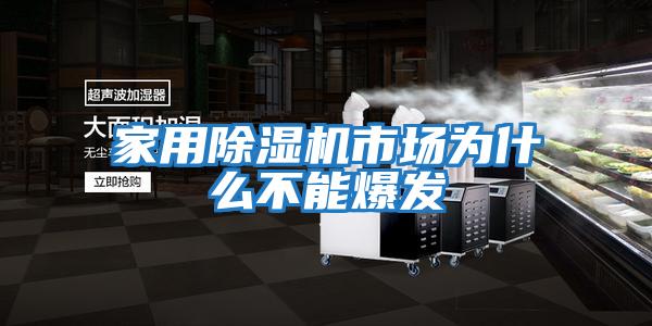 家用除湿机市场为什么不能爆发