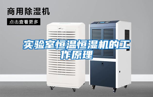 实验室恒温恒湿机的工作原理