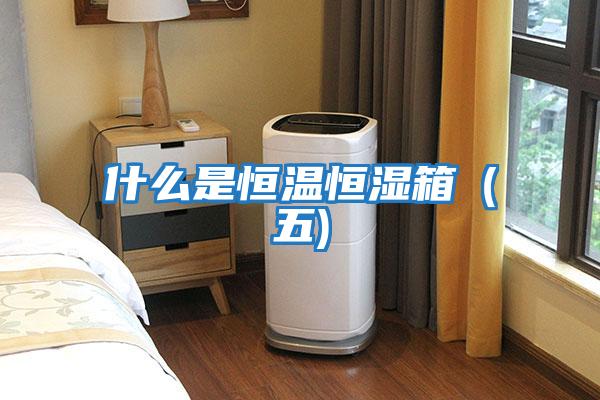什么是恒温恒湿箱（五)