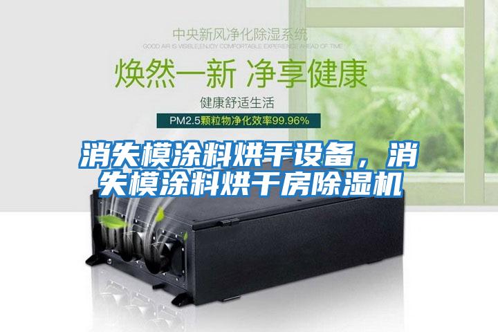 消失模涂料烘干设备，消失模涂料烘干房除湿机