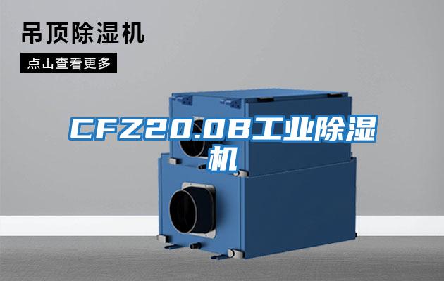 CFZ20.0B工业除湿机