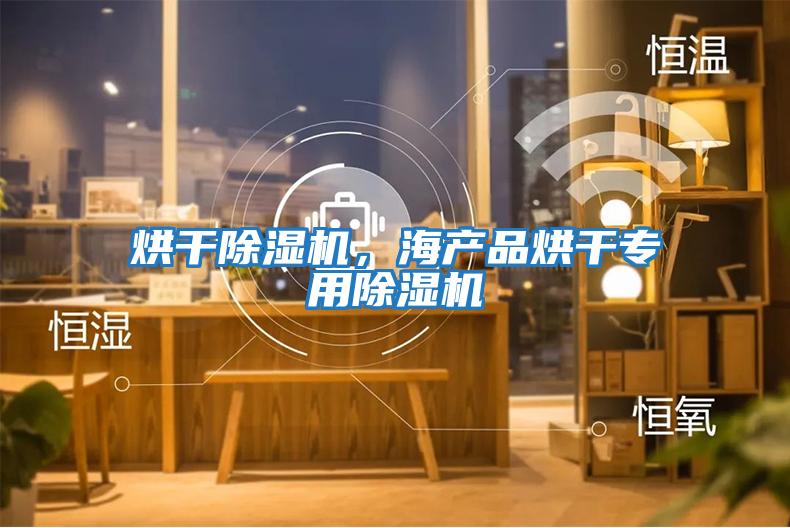 烘干除湿机，海产品烘干专用除湿机