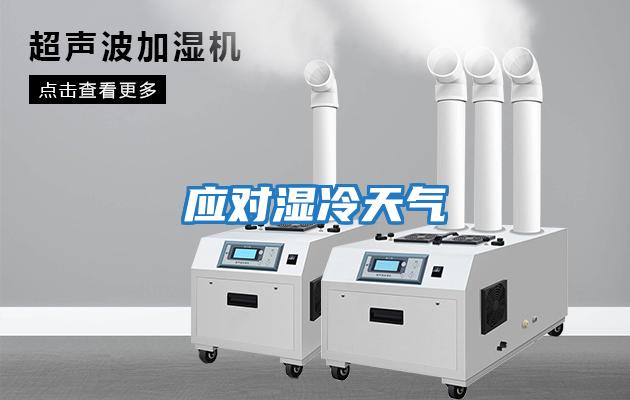 应对湿冷天气