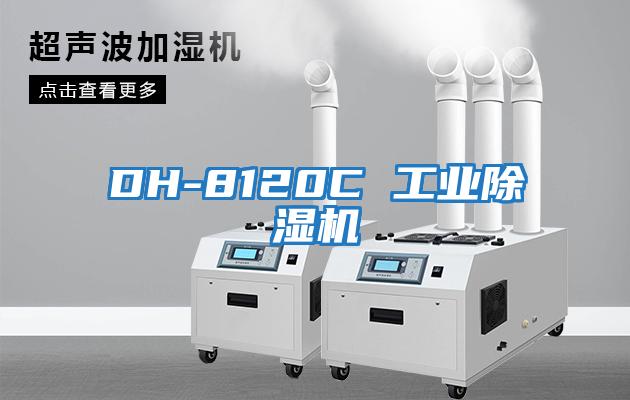 DH-8120C 工业除湿机