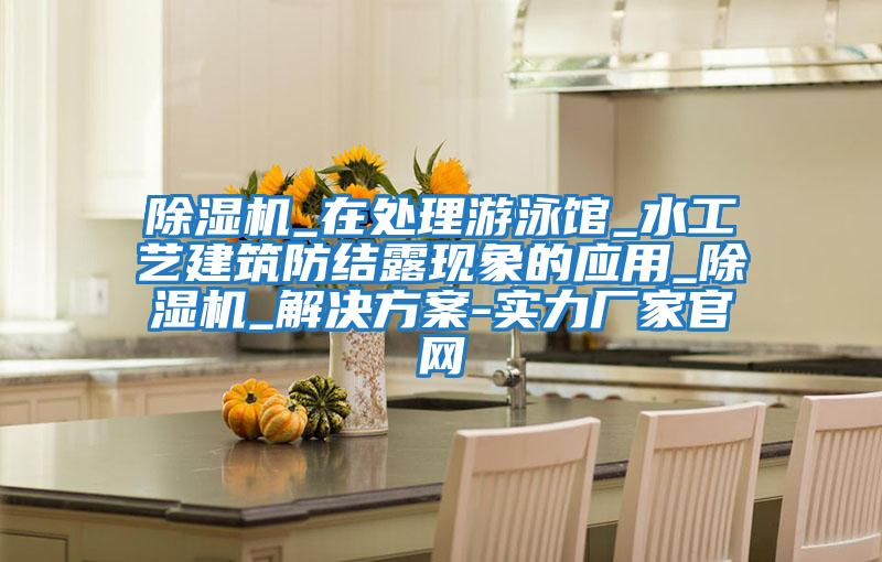 除湿机_在处理游泳馆_水工艺建筑防结露现象的应用_除湿机_解决方案-实力厂家官网