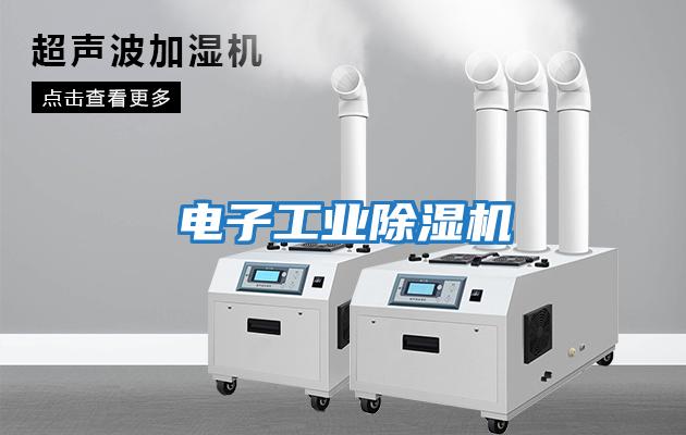 电子工业除湿机