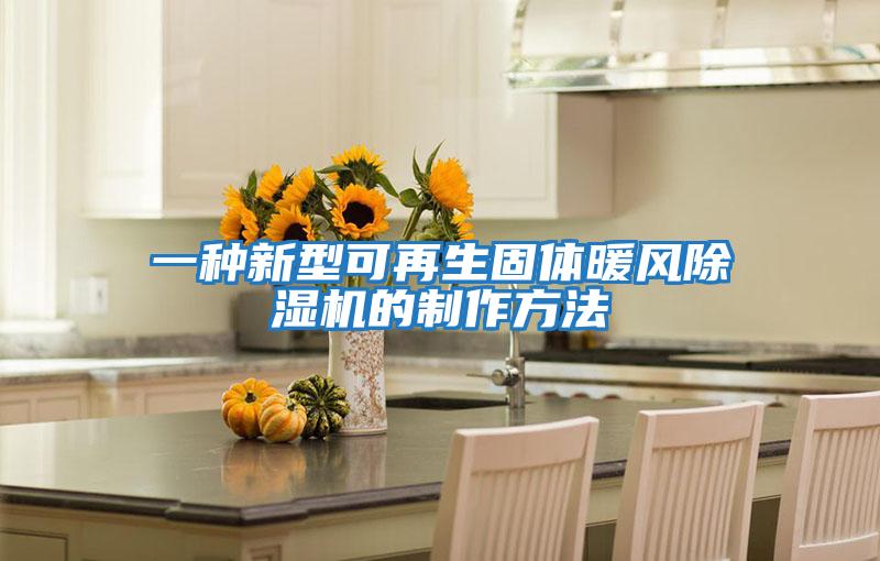 一种新型可再生固体暖风除湿机的制作方法