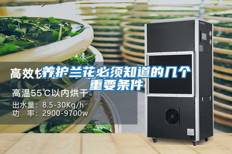 养护兰花必须知道的几个重要条件