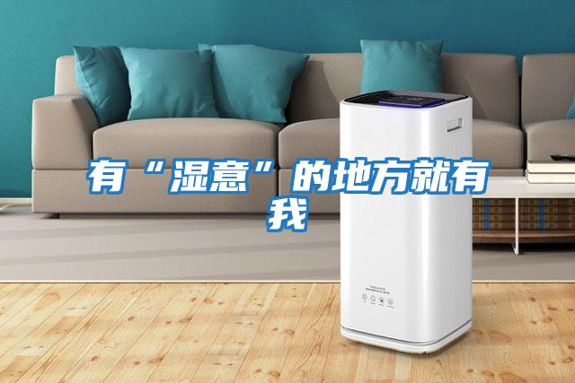 有“湿意”的地方就有我