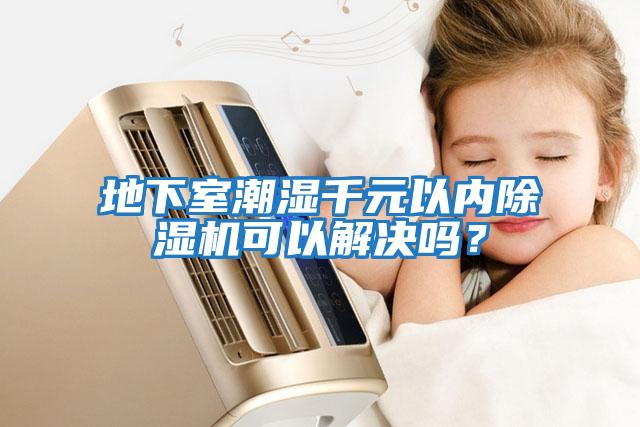 地下室潮湿千元以内除湿机可以解决吗？