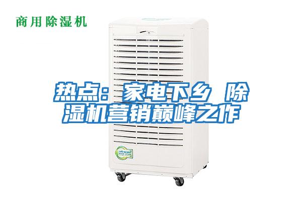 热点：家电下乡 除湿机营销巅峰之作
