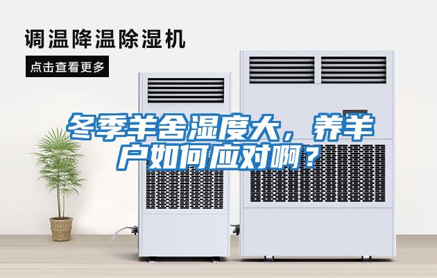 冬季羊舍湿度大，养羊户如何应对啊？