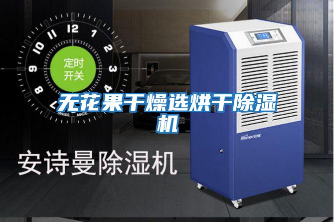 无花果干燥选烘干除湿机