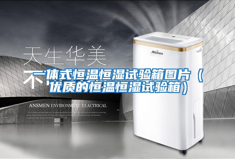 一体式恒温恒湿试验箱图片（优质的恒温恒湿试验箱）