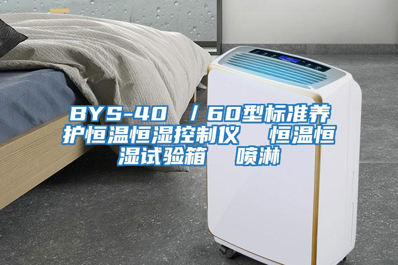 BYS-40 ／60型标准养护恒温恒湿控制仪  恒温恒湿试验箱  喷淋