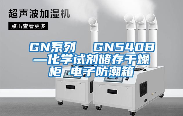 GN系列  GN540B—化学试剂储存干燥柜 电子防潮箱