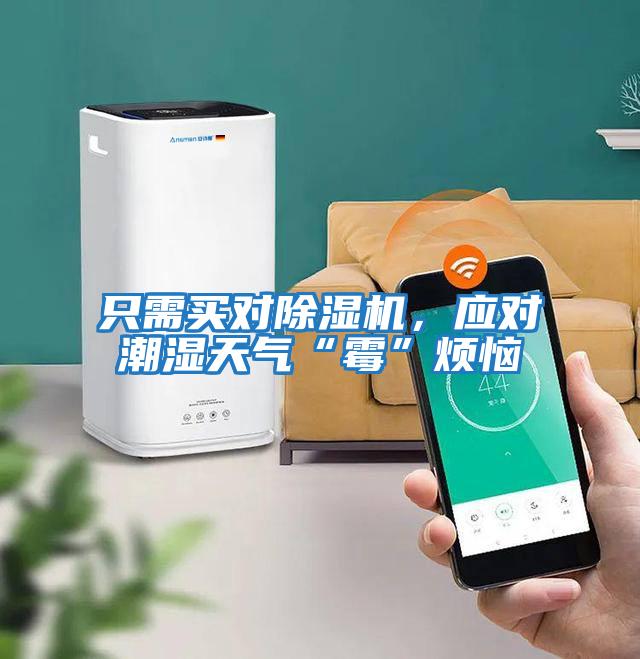 只需买对除湿机，应对潮湿天气“霉”烦恼