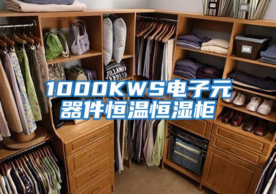 1000KWS电子元器件恒温恒湿柜