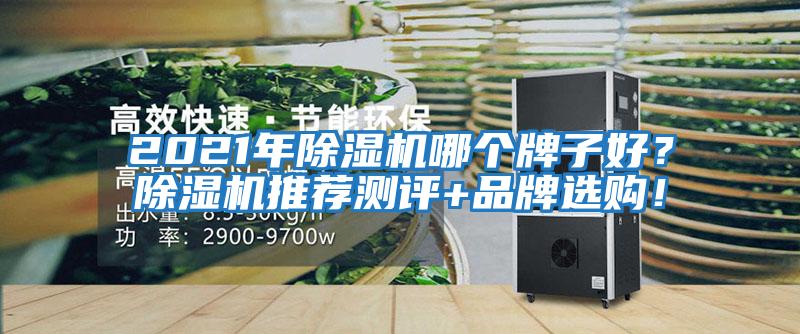 2021年除湿机哪个牌子好？除湿机推荐测评+品牌选购！
