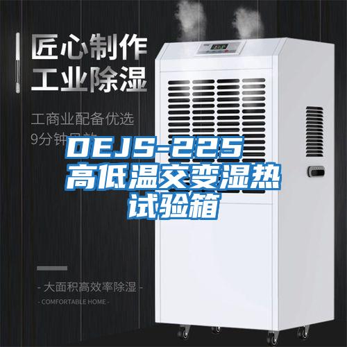 DEJS-225  高低温交变湿热试验箱