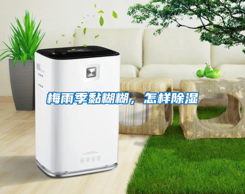 梅雨季黏糊糊，怎样除湿